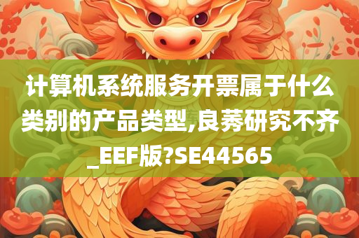 计算机系统服务开票属于什么类别的产品类型,良莠研究不齐_EEF版?SE44565