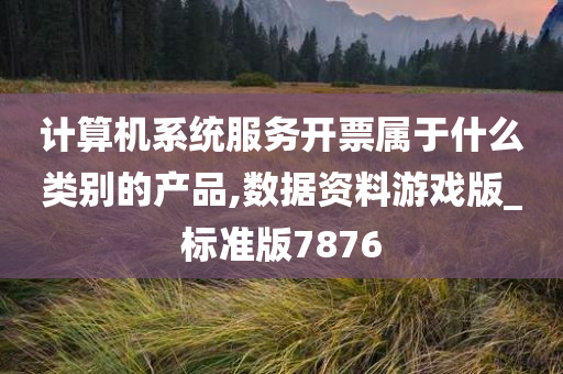 计算机系统服务开票属于什么类别的产品,数据资料游戏版_标准版7876