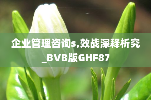 企业管理咨询s,效战深释析究_BVB版GHF87