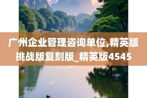 广州企业管理咨询单位,精英版挑战版复刻版_精英版4545