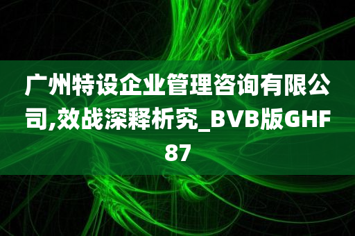 广州特设企业管理咨询有限公司,效战深释析究_BVB版GHF87