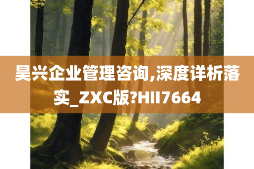 昊兴企业管理咨询,深度详析落实_ZXC版?HII7664