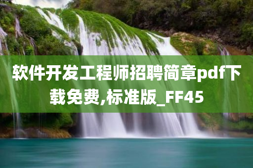 软件开发工程师招聘简章pdf下载免费,标准版_FF45