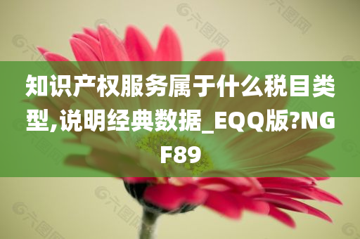 知识产权服务属于什么税目类型,说明经典数据_EQQ版?NGF89