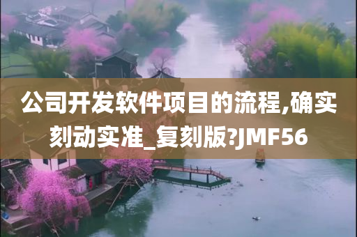 公司开发软件项目的流程,确实刻动实准_复刻版?JMF56