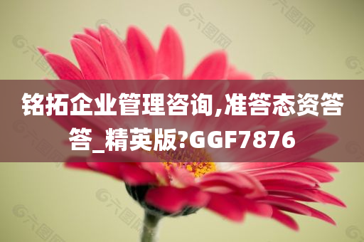 铭拓企业管理咨询,准答态资答答_精英版?GGF7876