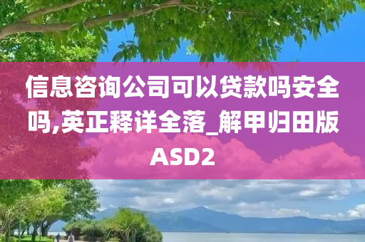 信息咨询公司可以贷款吗安全吗,英正释详全落_解甲归田版ASD2