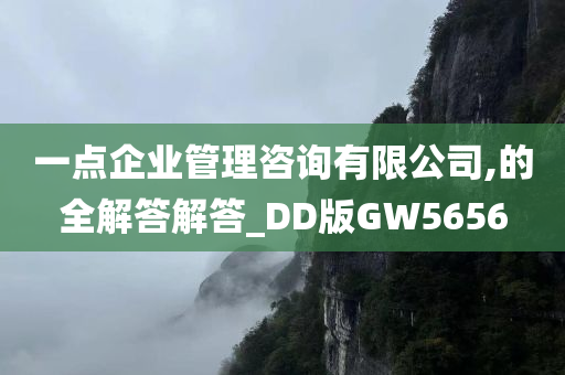 一点企业管理咨询有限公司,的全解答解答_DD版GW5656