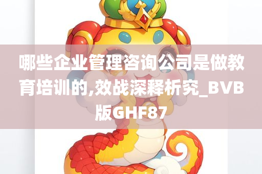 哪些企业管理咨询公司是做教育培训的,效战深释析究_BVB版GHF87