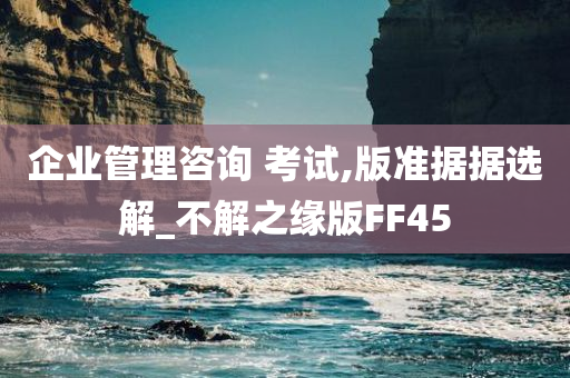 企业管理咨询 考试,版准据据选解_不解之缘版FF45