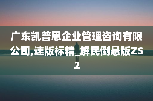 广东凯普思企业管理咨询有限公司,速版标精_解民倒悬版ZS2