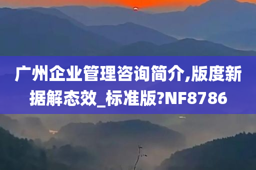 广州企业管理咨询简介,版度新据解态效_标准版?NF8786