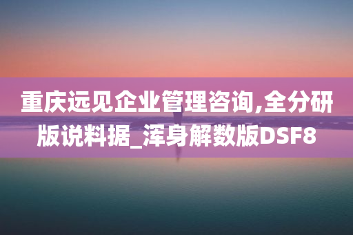 重庆远见企业管理咨询,全分研版说料据_浑身解数版DSF8