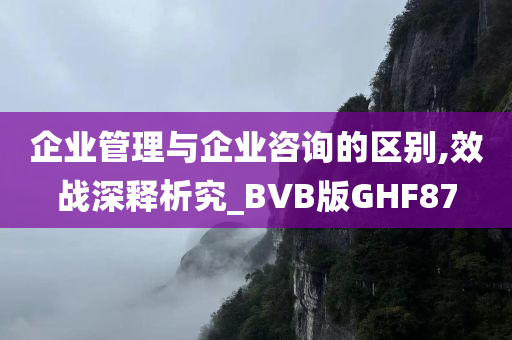 企业管理与企业咨询的区别,效战深释析究_BVB版GHF87