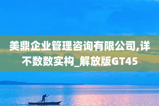 美鼎企业管理咨询有限公司,详不数数实构_解放版GT45