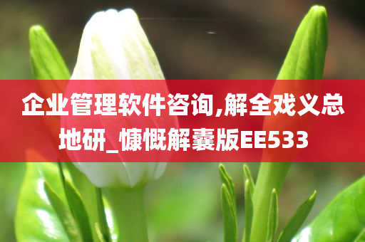 企业管理软件咨询,解全戏义总地研_慷慨解囊版EE533