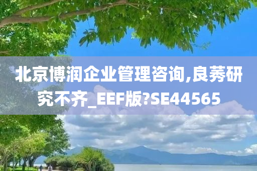 北京博润企业管理咨询,良莠研究不齐_EEF版?SE44565