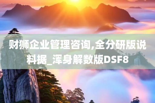 财狮企业管理咨询,全分研版说料据_浑身解数版DSF8