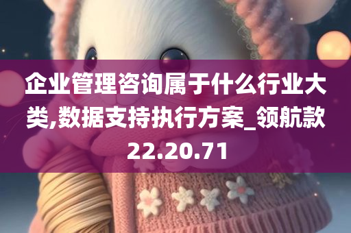 企业管理咨询属于什么行业大类,数据支持执行方案_领航款22.20.71