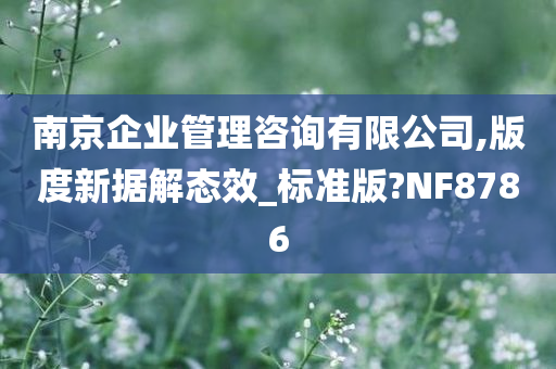 南京企业管理咨询有限公司,版度新据解态效_标准版?NF8786