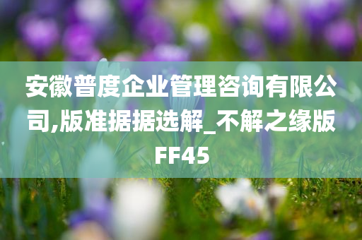 安徽普度企业管理咨询有限公司,版准据据选解_不解之缘版FF45