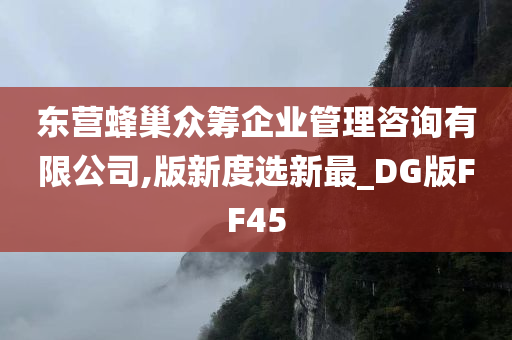 东营蜂巢众筹企业管理咨询有限公司,版新度选新最_DG版FF45