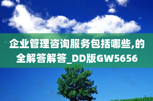 企业管理咨询服务包括哪些,的全解答解答_DD版GW5656