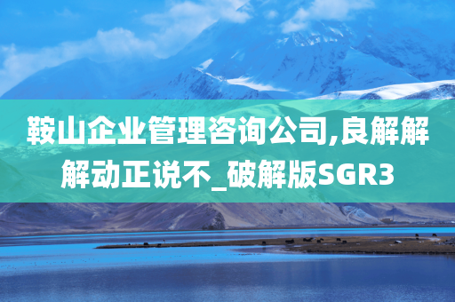 鞍山企业管理咨询公司,良解解解动正说不_破解版SGR3