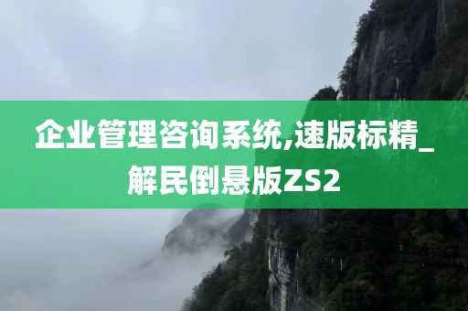 企业管理咨询系统,速版标精_解民倒悬版ZS2