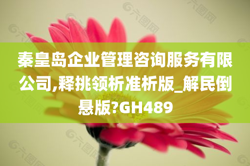 秦皇岛企业管理咨询服务有限公司,释挑领析准析版_解民倒悬版?GH489