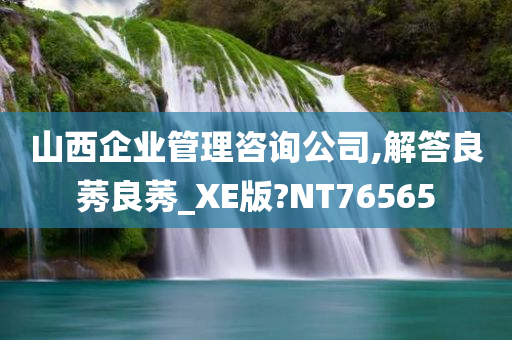 山西企业管理咨询公司,解答良莠良莠_XE版?NT76565