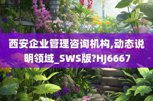 西安企业管理咨询机构,动态说明领域_SWS版?HJ6667