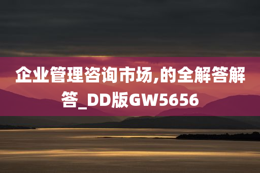 企业管理咨询市场,的全解答解答_DD版GW5656