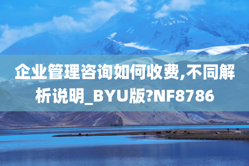 企业管理咨询如何收费,不同解析说明_BYU版?NF8786