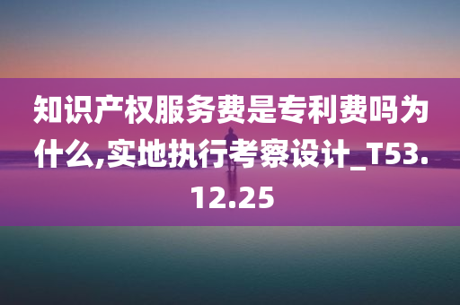 知识产权服务费是专利费吗为什么,实地执行考察设计_T53.12.25