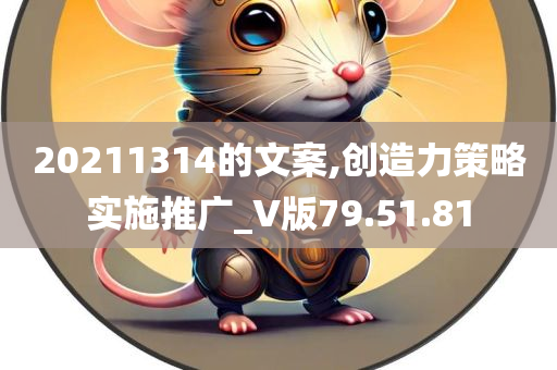 20211314的文案,创造力策略实施推广_V版79.51.81