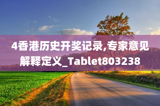 4香港历史开奖记录,专家意见解释定义_Tablet803238