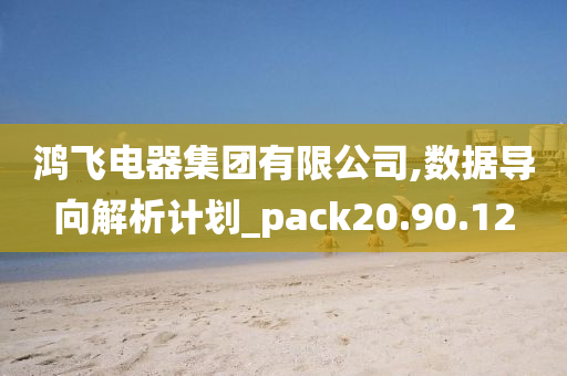 鸿飞电器集团有限公司,数据导向解析计划_pack20.90.12