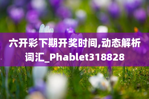 六开彩下期开奖时间,动态解析词汇_Phablet318828