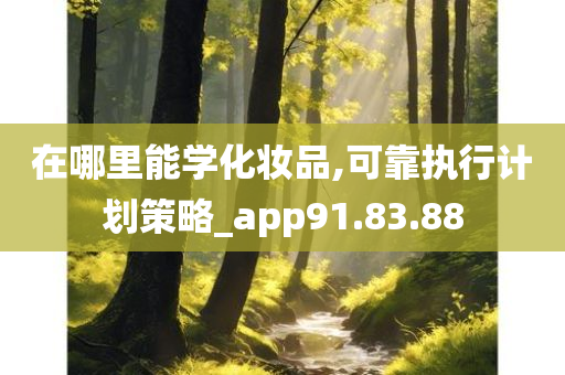 在哪里能学化妆品,可靠执行计划策略_app91.83.88