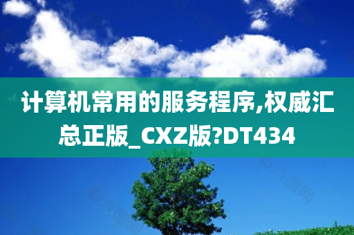 计算机常用的服务程序,权威汇总正版_CXZ版?DT434