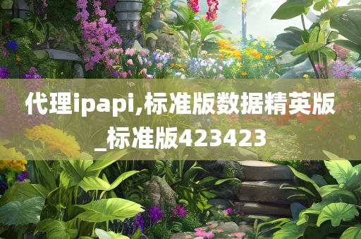 代理ipapi,标准版数据精英版_标准版423423