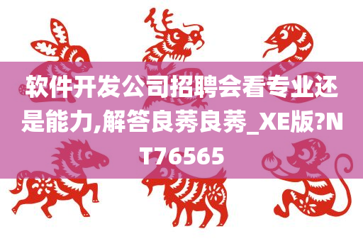 软件开发公司招聘会看专业还是能力,解答良莠良莠_XE版?NT76565