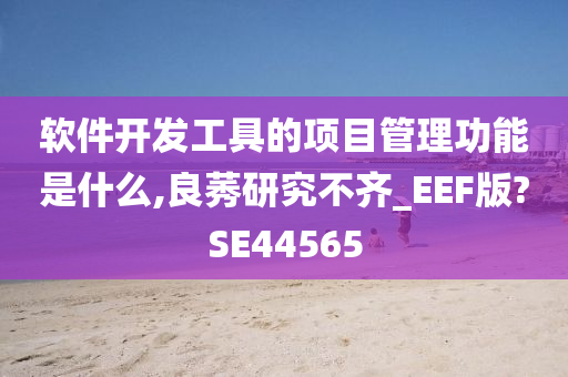 软件开发工具的项目管理功能是什么,良莠研究不齐_EEF版?SE44565