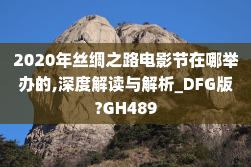 2020年丝绸之路电影节在哪举办的,深度解读与解析_DFG版?GH489