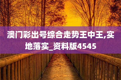 澳门彩出号综合走势王中王,实地落实_资料版4545