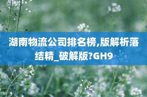 湖南物流公司排名榜,版解析落结精_破解版?GH9