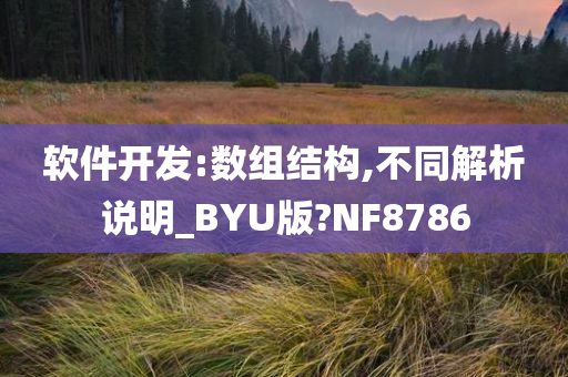 软件开发:数组结构,不同解析说明_BYU版?NF8786