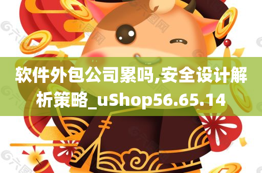 软件外包公司累吗,安全设计解析策略_uShop56.65.14