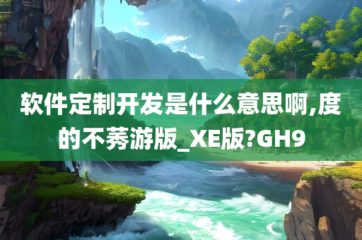 软件定制开发是什么意思啊,度的不莠游版_XE版?GH9